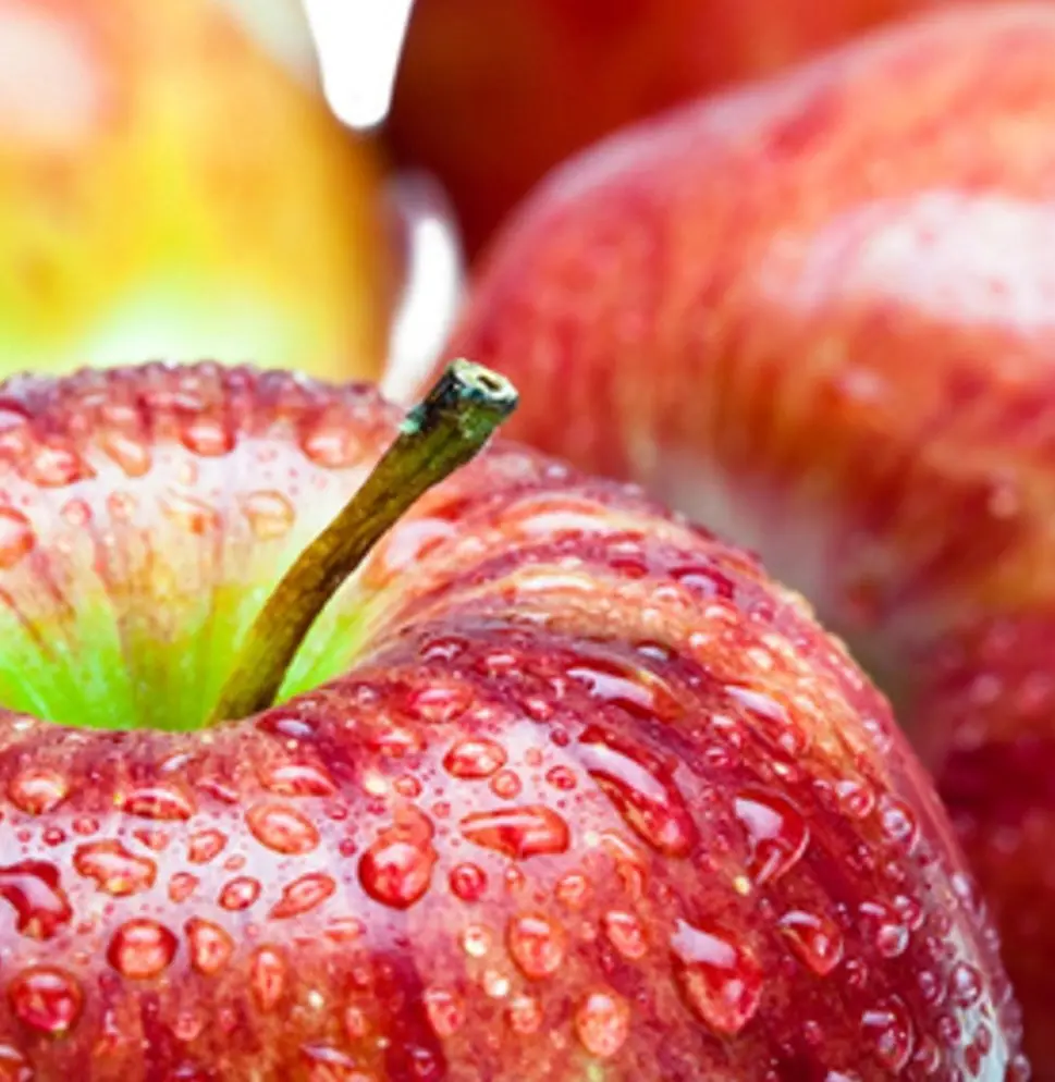 Macintosh Apple Candle Decor