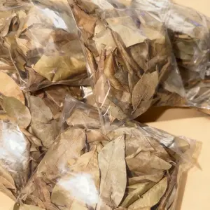Soursop korosol Bag