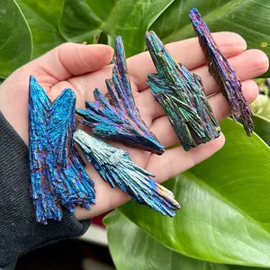 Titanium Aura Black Kyanite