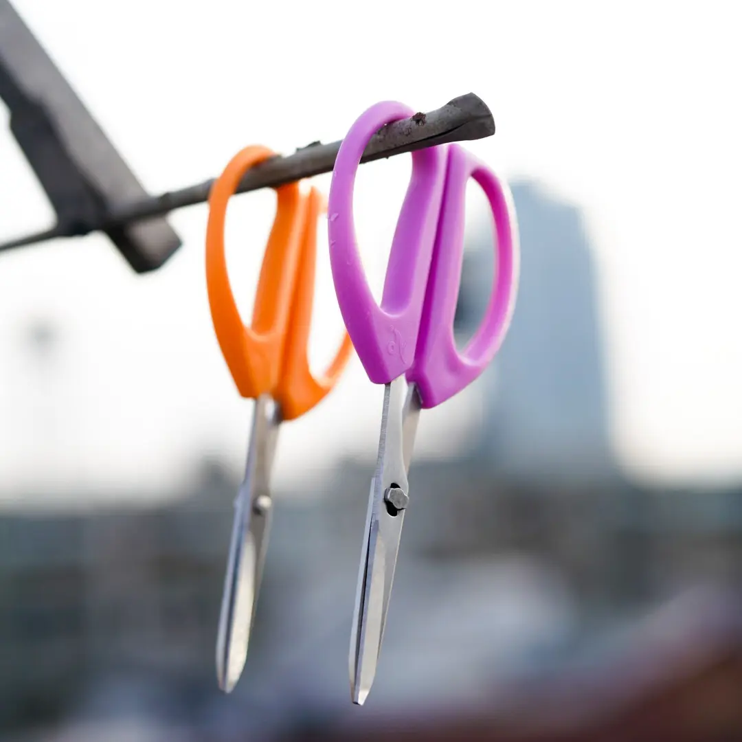 Smithwick Shears: Your All-in-One Kitchen Companion.