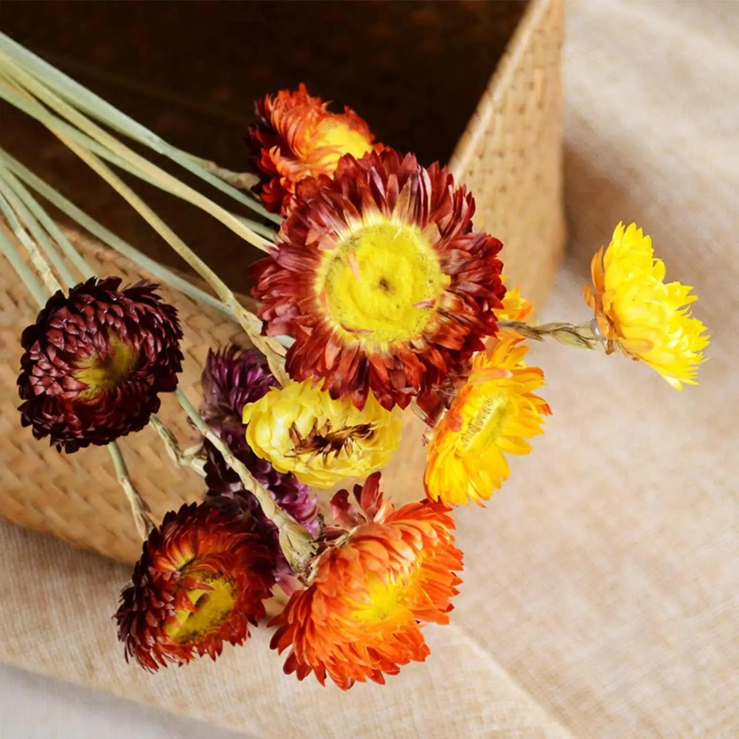 Natural Dried Daisy Flowers Bouquet - 20 Pcs Multicolor Daisies Dried Sunflowers Chrysanthemum, Dry Flower Arrangements for Wedding, Farmhouse Table Vase Decor, Home Office Party Decoration