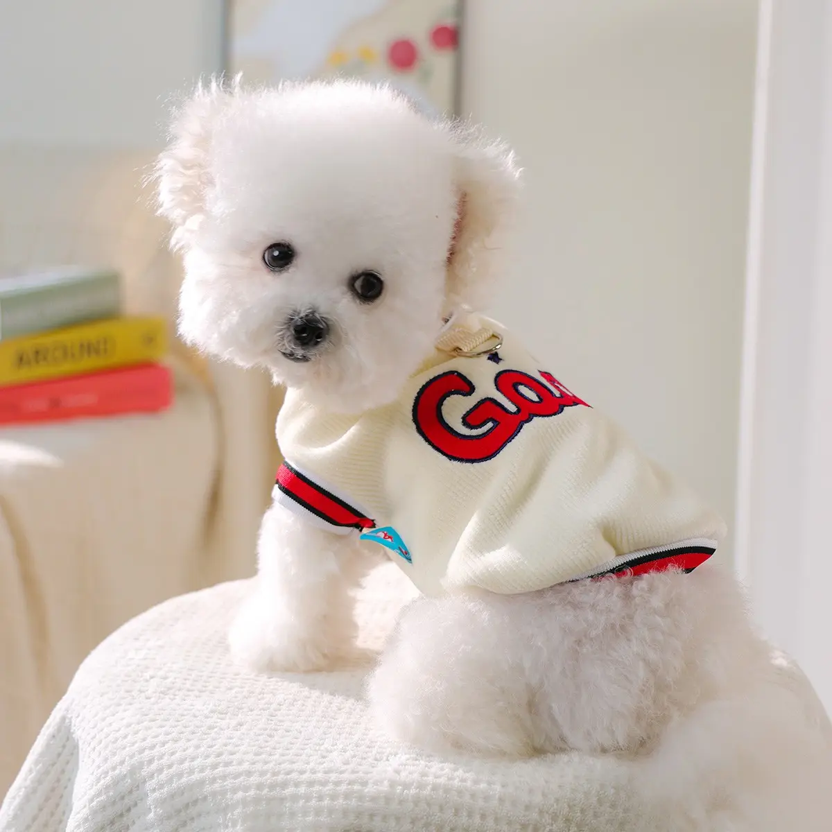 Best Doggy Jersey Pet Clothes for Dogs & Cats, Puppy Jersey Shirt, Two-Legged Teddy Bichon Pomeranian Yorkie Wear, Comfortable, Cute & Stylish