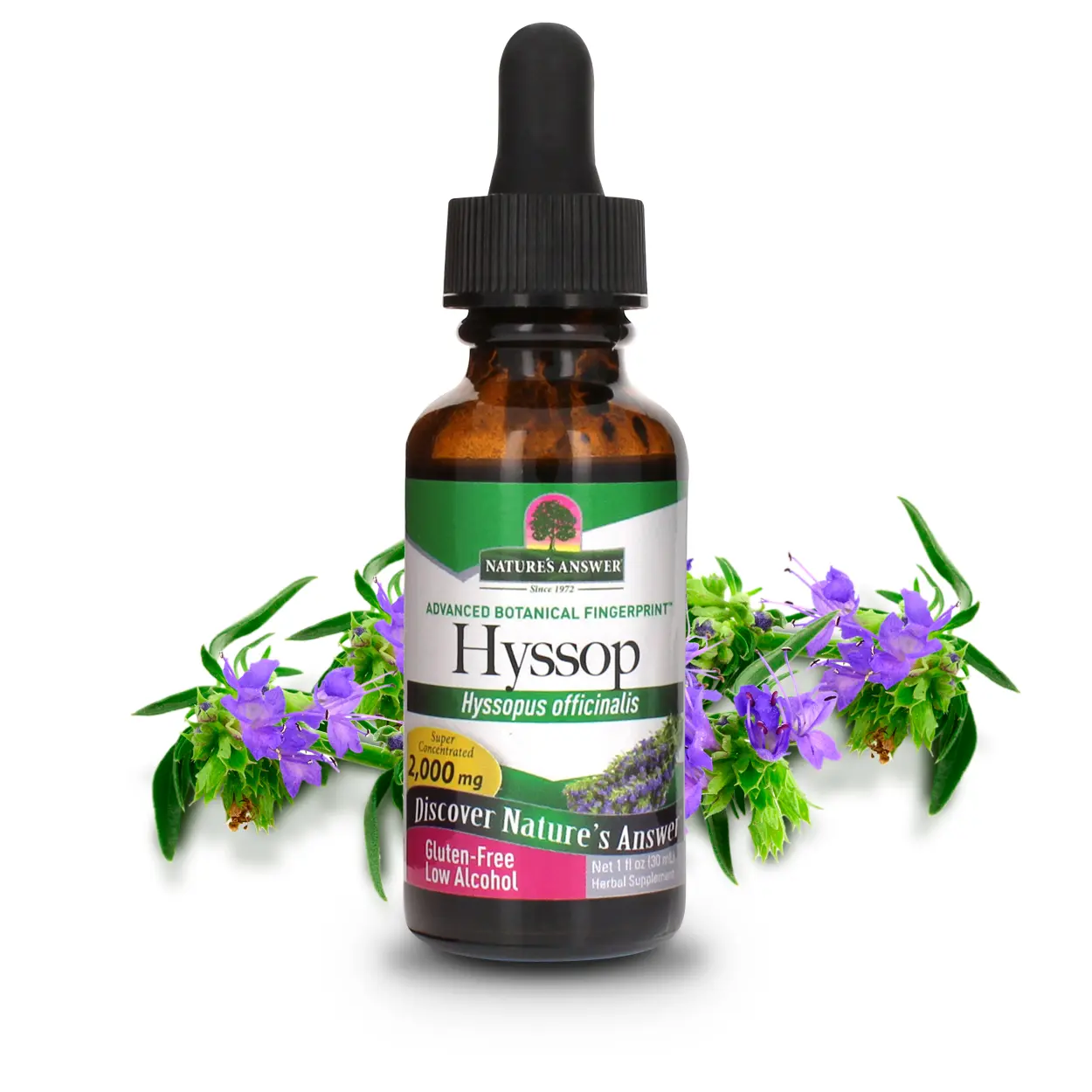 Nature's Answer Hyssop Herb Supplement with Organic Alcohol, 1-Fluid Ounce | Single Count