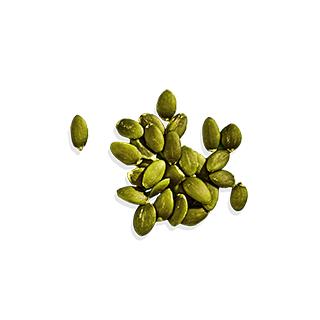 ALOHA Chocolate Protein Powder | 18g Plant Protein 15-Servings, 4g Sugar | Pea, Brown Rice & Pumpkin Seed | Certified USDA Organic, Vegan, Stevia-Free, Soy-Free | Rich & Creamy With MCT Oil Fitness Supplements Natural Supplements