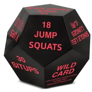 WildStrade [12-Sided Motivational Fitness Dice] [Popular Choice] Fitness Dice Exercise Workout Roller - 12-Sided Polyhedra Motivational Dice for Home Fitness, Aerobic Exercise, Yoga - Fun Workout Accessory for Gym, Fitness Classes