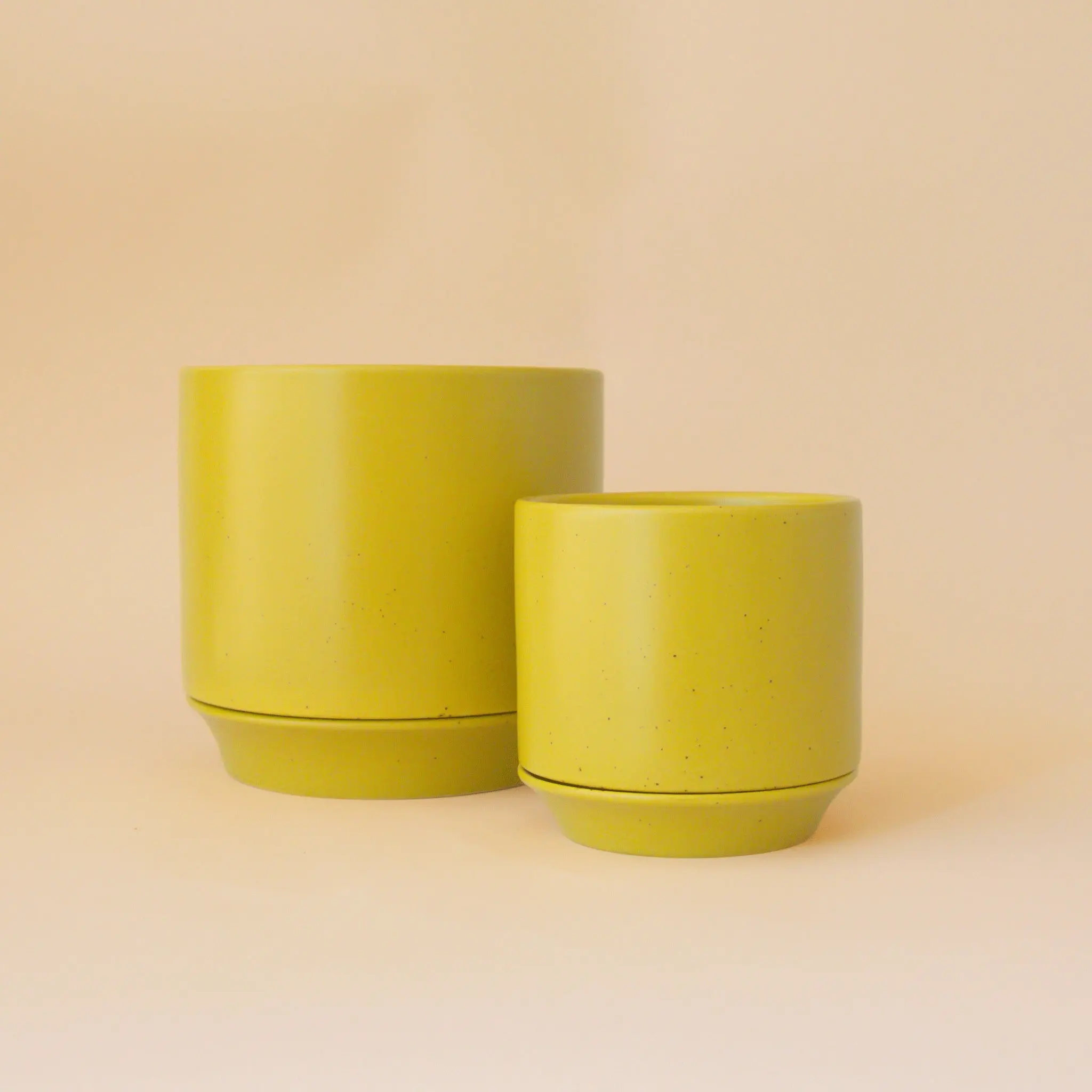 Parker Planter with Trivet | Palm