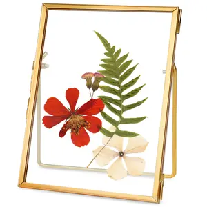 Glass Pressed Flower Frame Handmade, Floating Picture Frames for Pressed Flowers, Tabletop Artwork Photo Frames, Brass Desk Picture Frame for Home Office Plant Specimen, Gold, 4x6 Inches Decor Metal