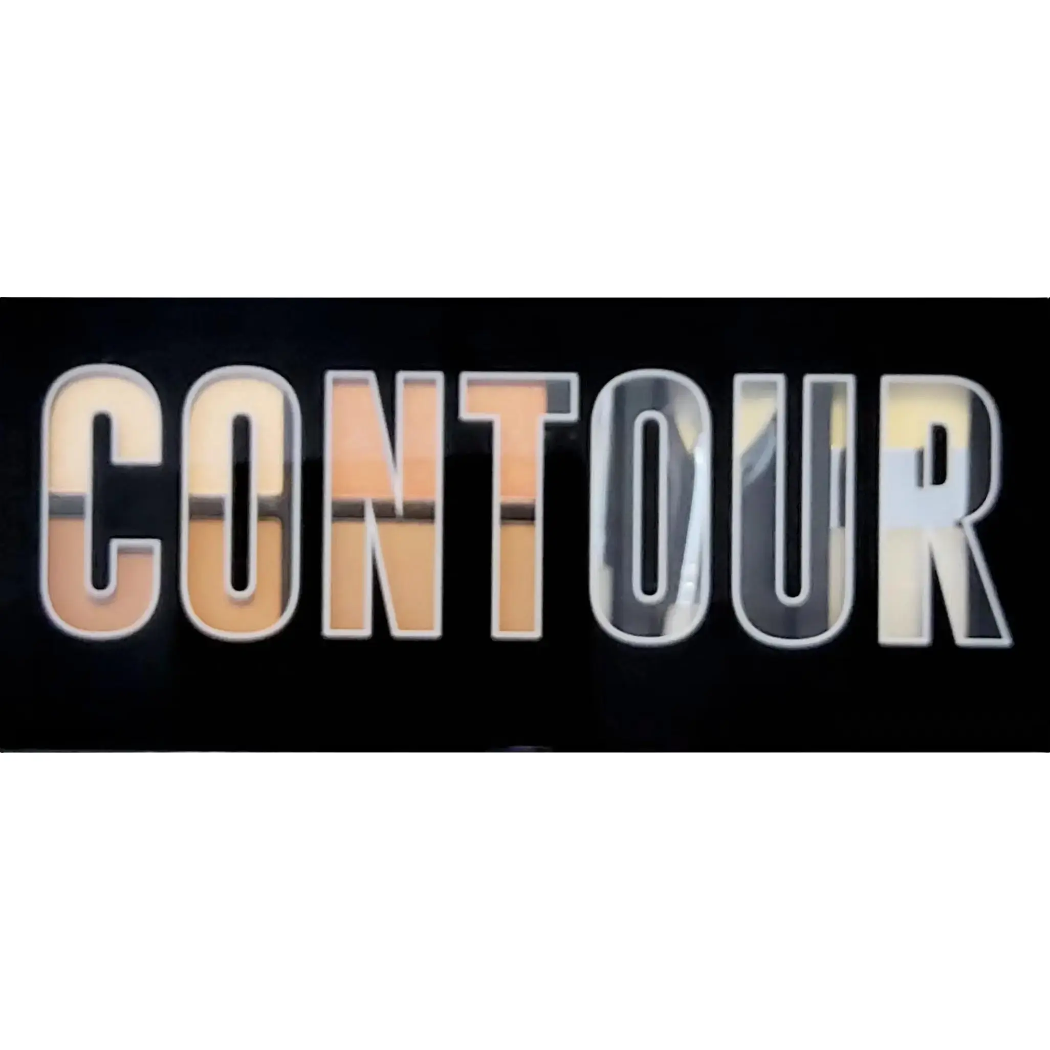 Profusion Contour Light Pink, Champaign,  Taupe, Dark Bronze with 3 Brushes Bronzer Flawless