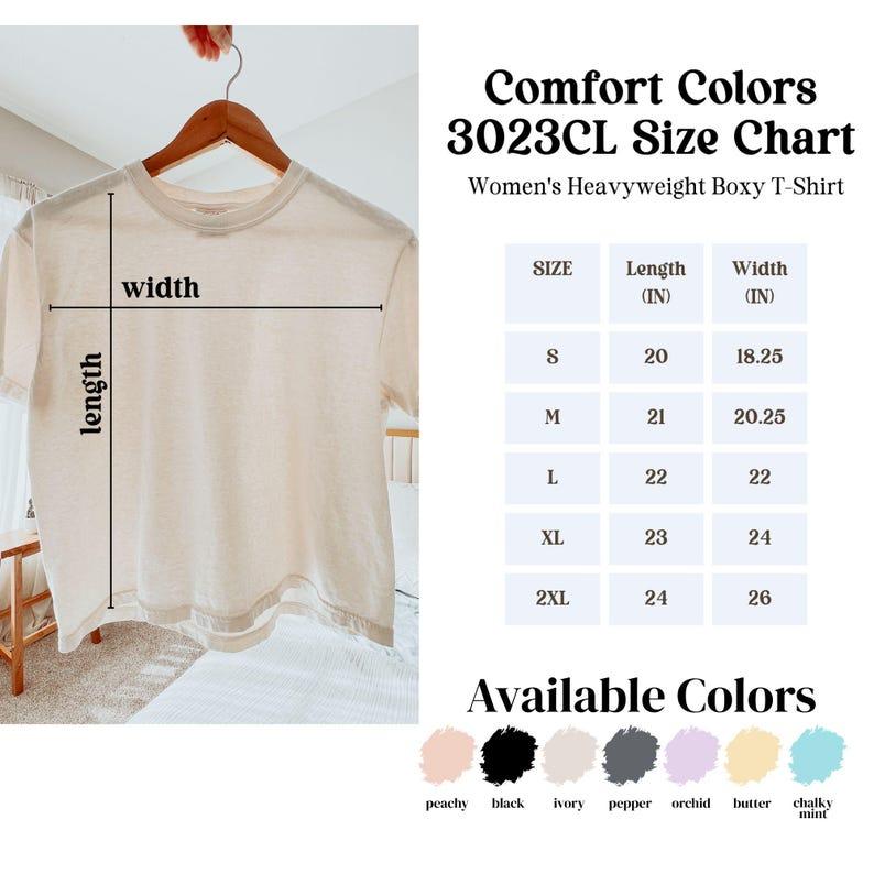 Is Lie Liar Told You That Comfort Colors Womens Boxy Tee, Connor Storrie Heated Rivalry Inspired Shirt, Ilya and Shane Hockey MM Book Merch