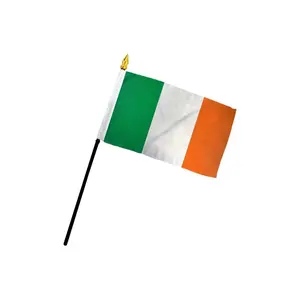 Ireland 4x6in Print Plastic Stick Flag, Stitched Edge, Party Decoration Supplies for National Pride