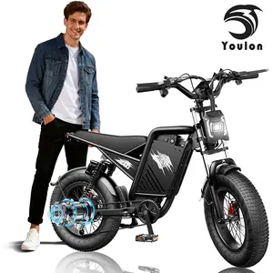 YOULON 2000W Peak Off-Road Electric Bike for Adults, 60V 23Ah Battery,  20"x4.0" Fat Tire, 38MPH, Dual Hydraulic Disc Brakes, Full Suspension All-Terrain Electric Bicycle