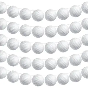 5 count Golf Party Decorations Party Supplies Banners Bunting  Banners Paper Garlands for  Theme Birthday(Golf Style)