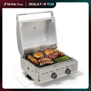 R.W.FLAME【SummerVibes】16,000 BTUs Tabletop Gas Grill, 2-Burner Portable Propane Grill with Foldable Legs, Extra-large 251 Sq. in Cooking Area, 20" Stainless Steel BBQ Grill for Backyard, RV, Camping, Tailgate