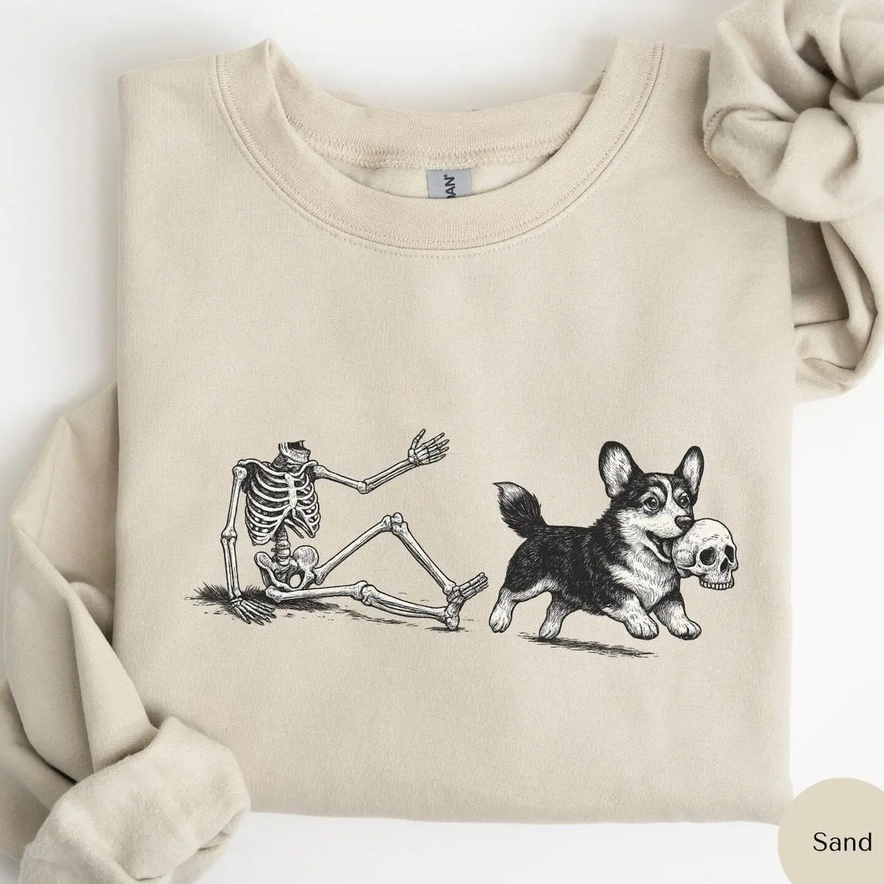 Funny Corgi Halloween Sweatshirt, Skeleton Dog Steals Skull, Spooky Cute Corgi Lover Gift, Fall Dog Mom Shirt, M095 X0P
