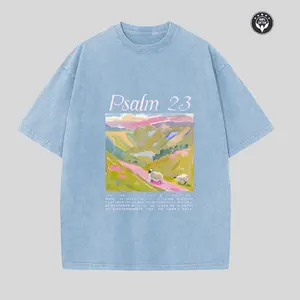 Unisex Psalm 23 Inspirational Christian T-Shirt, Vintage Washed Pink Sheep & Green Pasture Graphic Tee, Retro Bible Verse Short Sleeve Crew Neck Casual T-Shirt