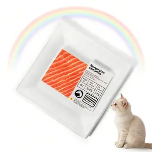 Pet Memorial Keepsake – Faux Norwegian Salmon Fillet, Rainbow Bridge Sympathy Gift for Dog and Cat Loss