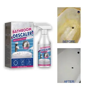 60ml Stainless Steel Bathroom Cleaner for Shower Room, Glass Scale, Wash Basin, and Bathtub Decontamination Household Soap