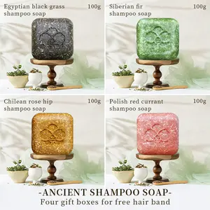 Herbal Plant Shampoo Bar Set of Four