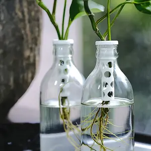 2 Pack Hydroponic Plant Baskets, Convenient Indoor Plant Stand, Durable Recycled Wood Decor, Office Desktop Accessories, Fashionable Construction