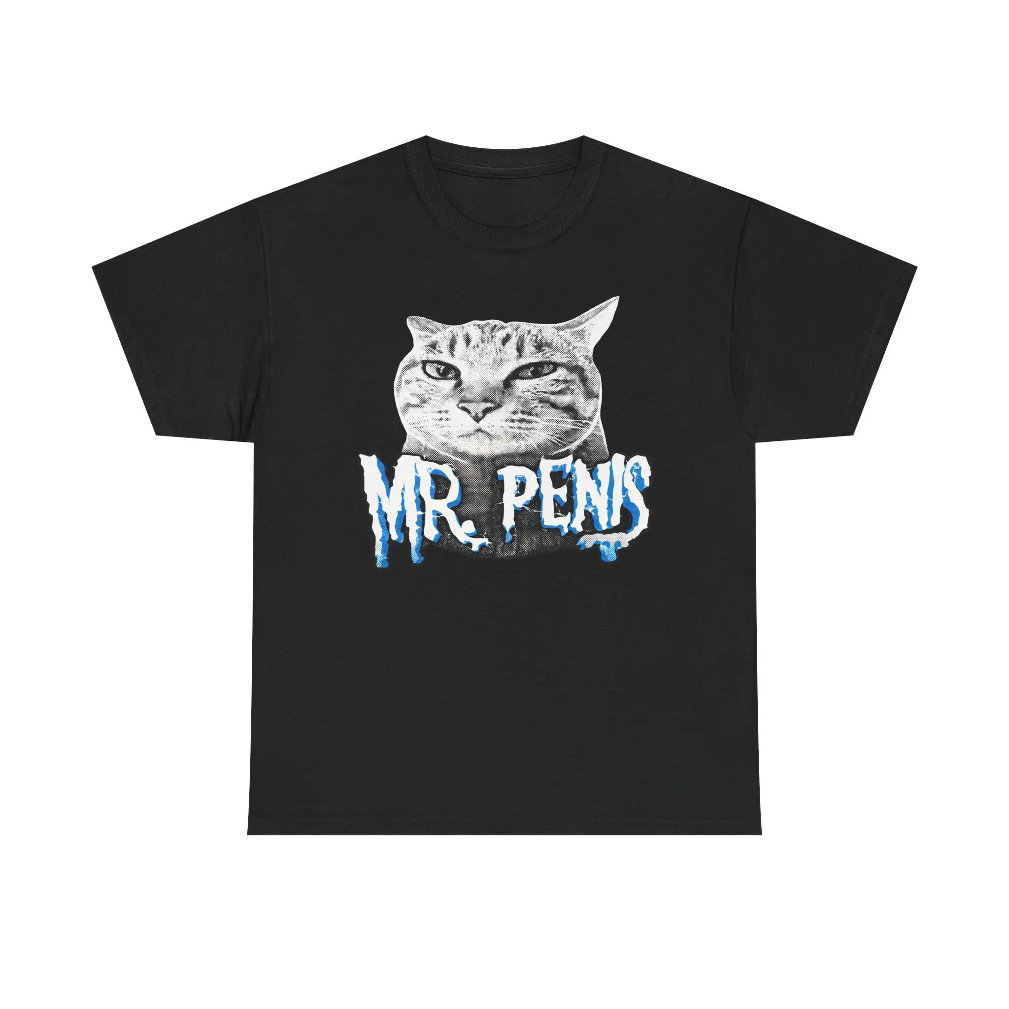 Mr P*nis Cat Meme Tshirt,  Funny Brainrot Tshirt