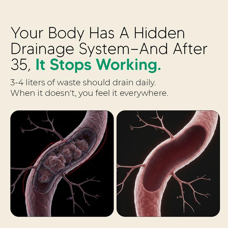 Sculptique Lymphatic Drainage Capsules - Antioxidant & Detox Binder Supplement - Supports Natural Lymphatic Cycle