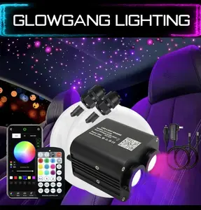 20W DUAL COLOR ZONE TWINKLE STARLIGHT HEADLINER KIT