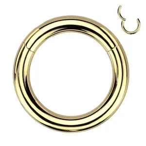 6 Gauge 316L Surgical Steel Gold Plated Segment Ring For Stretched Septum Piercings