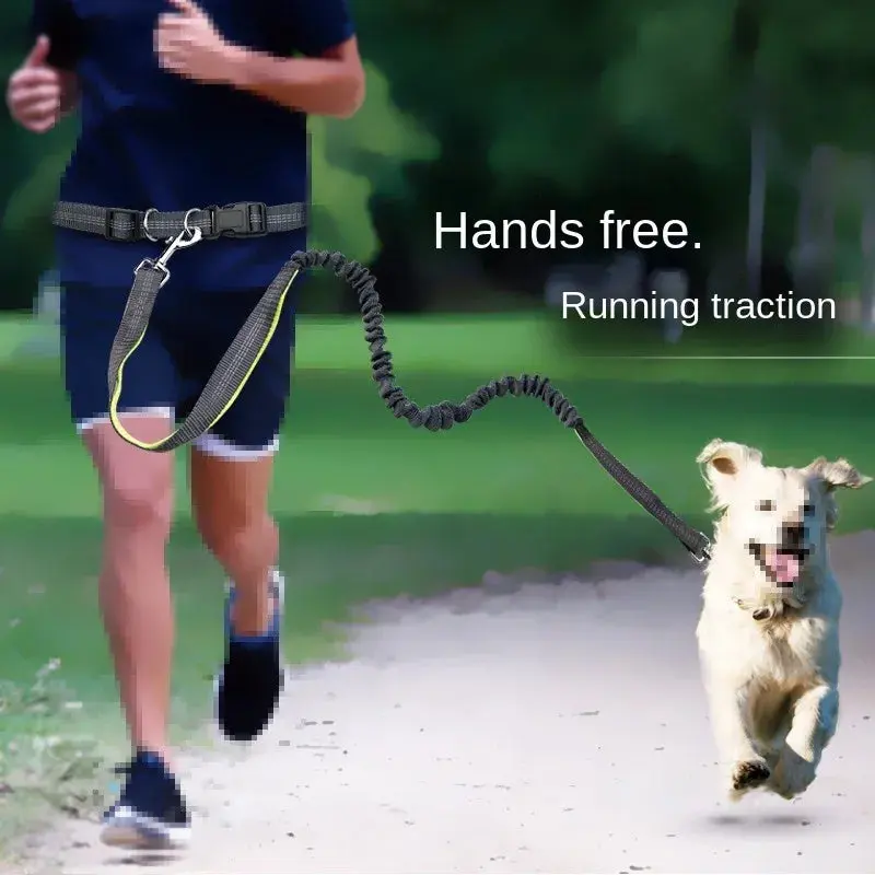Hands-Free Dog Leash for Walking, Running, and Jogging