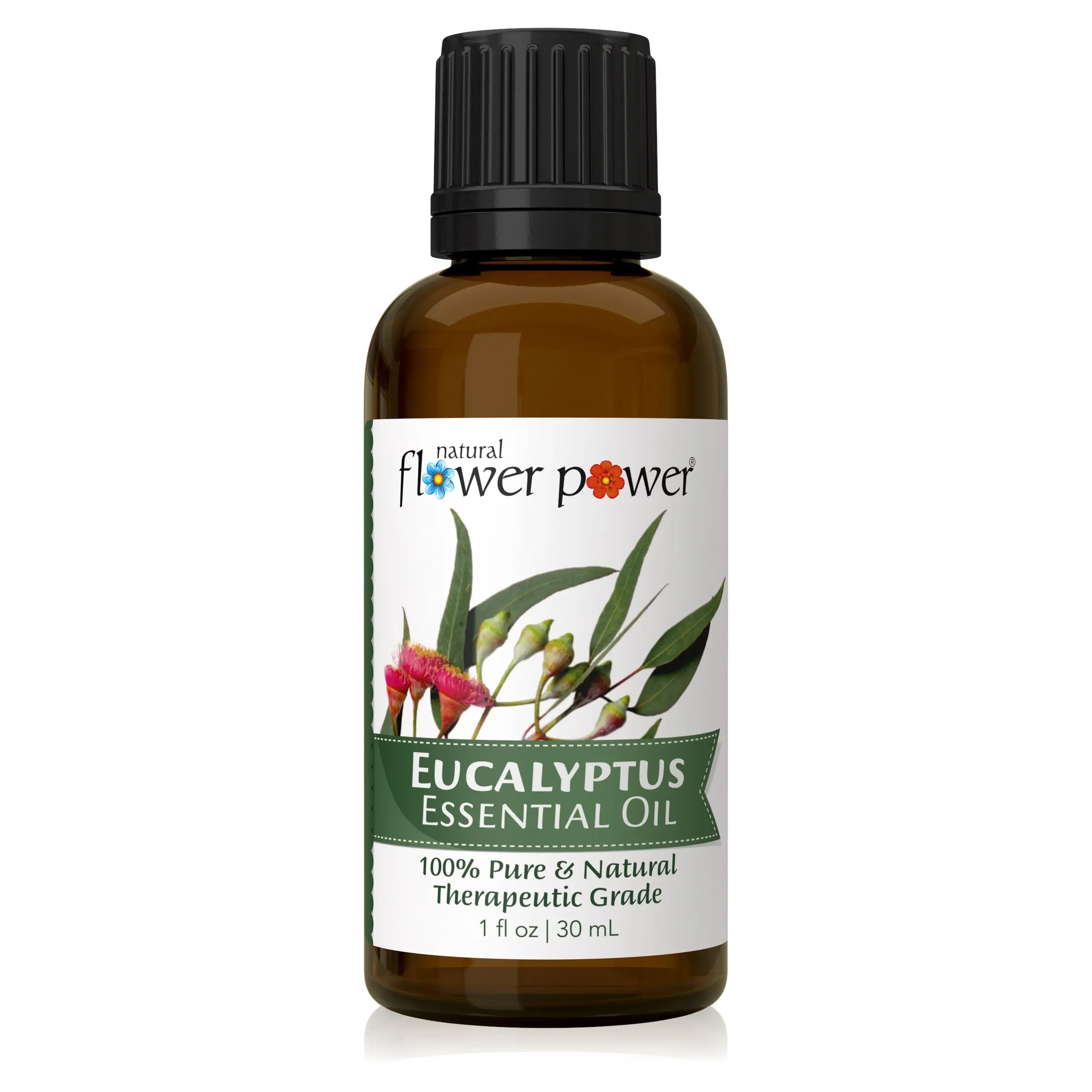 Eucalyptus Globulus Essential Oil
