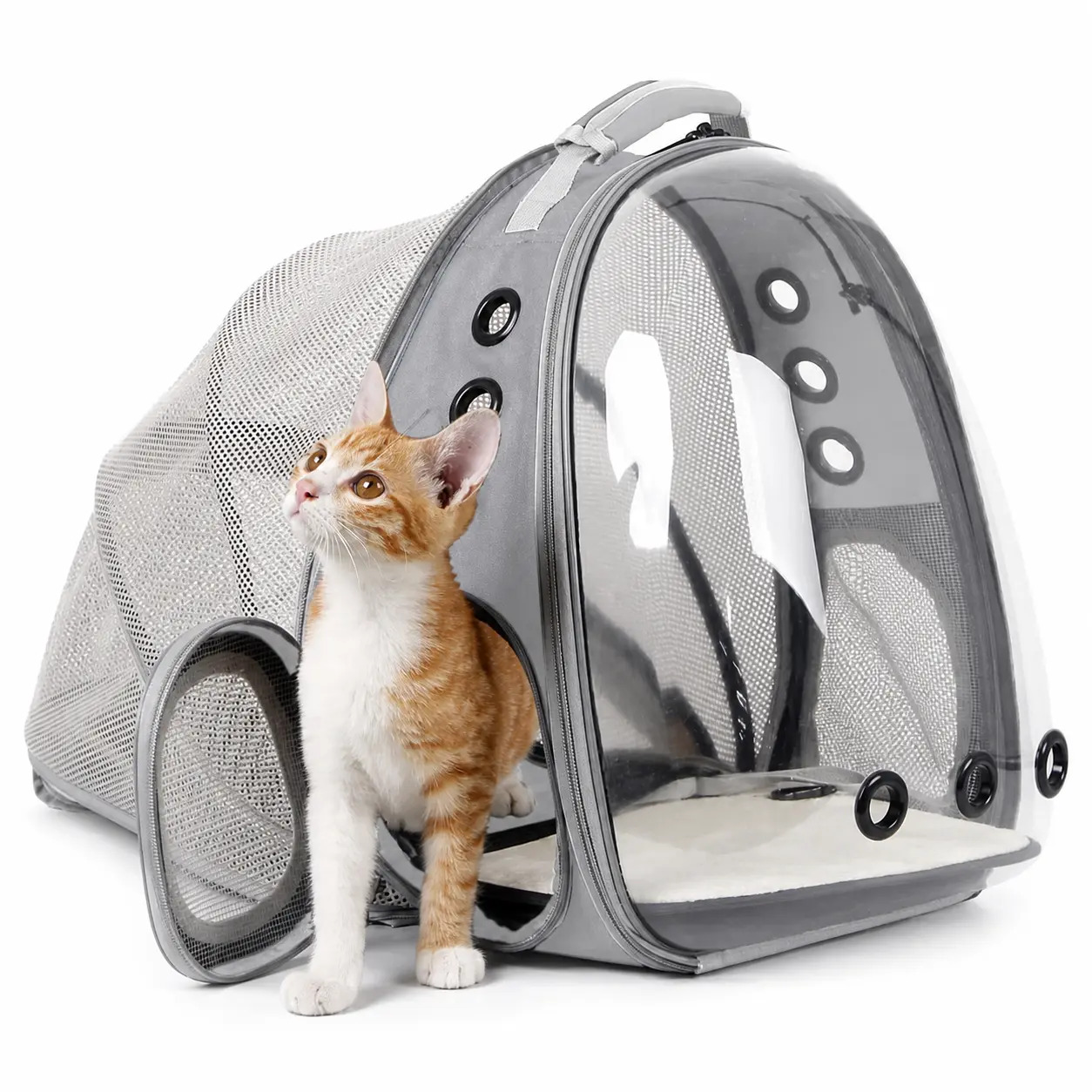 Expandable Cat Carrier Backpack with Clear Bubble Front, Mesh Pet Travel Carrier and Fold-Out Tent