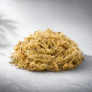 Sphagnum Moss — Premium Long Fiber Substrate