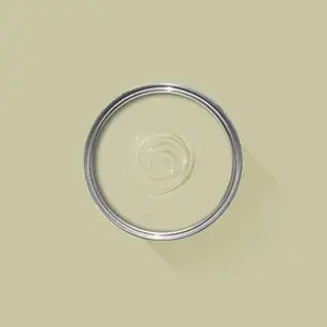 Farrow & Ball Archived Ash Grey NO.W9 🚚 Free Shipping!
