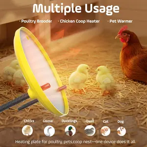Chick brooding board with 12-inch metal heating plate, adjustable height and angle, 35W warmer for chicks, ducks, quail, also suitable for puppies and kittens. Yellow exterior.