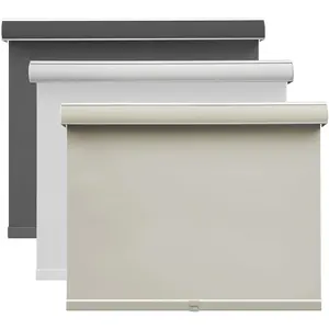 SCHRLING Blackout Cordless Roller Shades 24W x 60L Free-Stop Room Darkening with Valance UV Protection Thermal Insulated Fabric Blinds