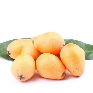 Five-star loquat seedlings, high-quality fruit seedlings, balcony courtyard planting