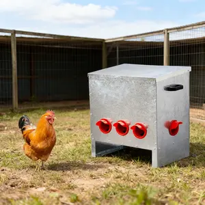 Automatic Chicken Feeder Rodent Proof 5 Ports Large Capacity Galvanized Steel Poultry Feeder with Handles and Lid for Hen Coop and Duck Flocks