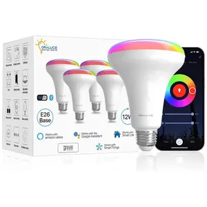 Smart BR30 LED Bulb 100W Equivalent,12W E26 Base LED Flood Light Bulbs,Works with Alexa Google Assistant,RGBCW 2700-6500K Recessed Light Bulbs for Cans,2/4 Pack