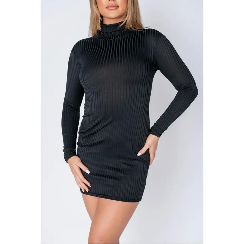 princess polly baby blue dress Cotton Citizen Turtleneck Maxi Dress | Black main image 1