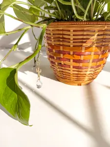 Cactus Plant Vine Charm - Hanging Suncatcher for Vines & Trailing Plants - Decorative Crystals for House Plants