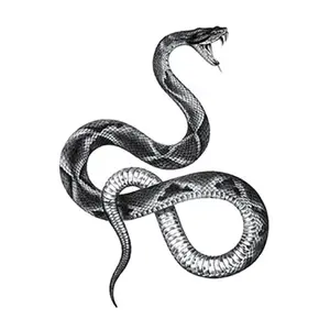 Sexy Snake Realistic Tattoo Men Women Waterproof Temporary Tattoo Custom Temporary Tattoo Kit Arm Hand Leg Wrist Party