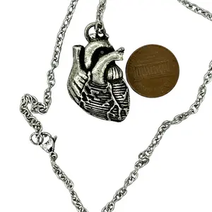 Anatomical Heart Necklace with Metallic Pendant and Chain