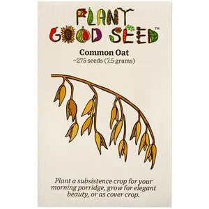 Common Oat Seeds for Planting: Cool Weather Cover Crop Grass, Subsistence Grain, Certified Organic - 275 Seed Packet / Bulk Pack