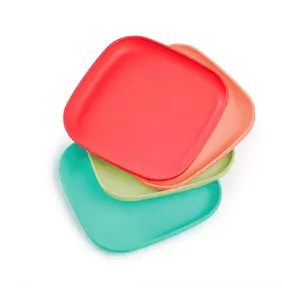 lunch plates reusable