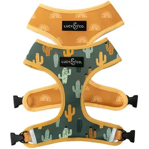 Looking Sharp Reversible Harness