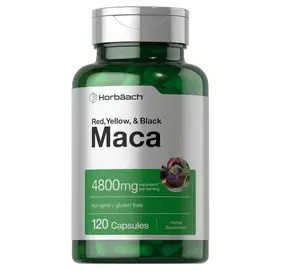 Horbäach Maca Root Capsules for Men and Women | 120 Pills | High Potency Extract | Non-GMO and Gluten Free Formula