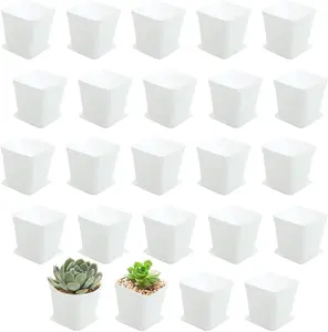White Square Plastic Plant Pots 24 Pack 3 Inch with Saucers Nursery Seedling Pots with Drainage Hole