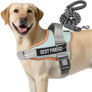 No Pull Dog Harness and Leash Combo, Reflective Adjustable Safety Harness – Soft Padded, Easy On & Off – Dog Walking & Training, Small Medium Large Dogs