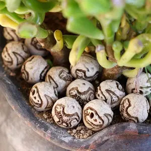 20-Pcs Dinosaur Fossil Miniature Statues, Garden Decoration, Outdoor Fairy Tale Micro Landscape, Gardening Stone Sculptures, Aquarium Decor