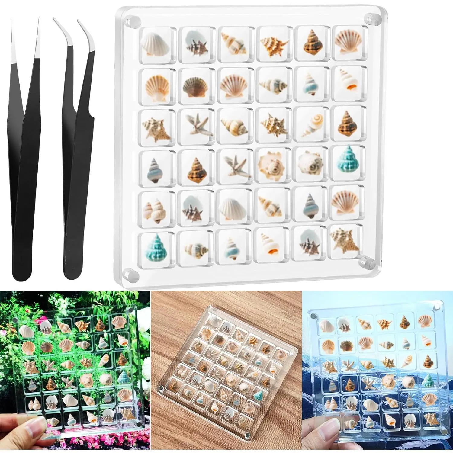 Seashell Display Box,Clear Sea Shell Holder Display Box,Beach Shelling Collecting Tools, Storage Organizer  Case for Seashell  Beads (1 Pack-36 Grids)