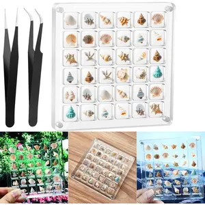 Seashell Display Box,Clear Sea Shell Holder Display Box,Beach Shelling Collecting Tools, Storage Organizer  Case for Seashell  Beads (1 Pack-36 Grids)